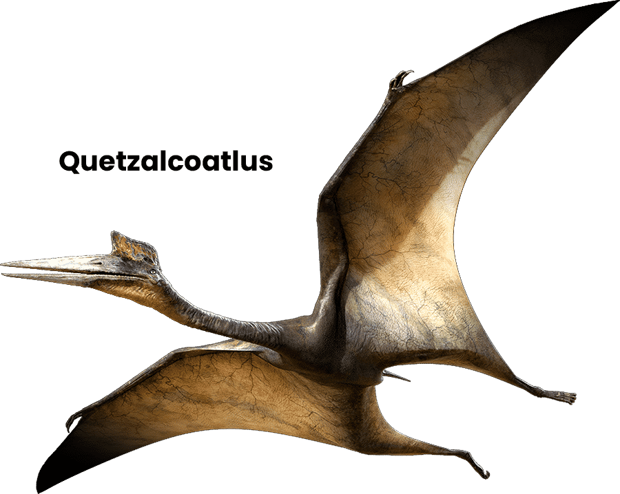 pterozauri uriasul Quetzalcoatlus