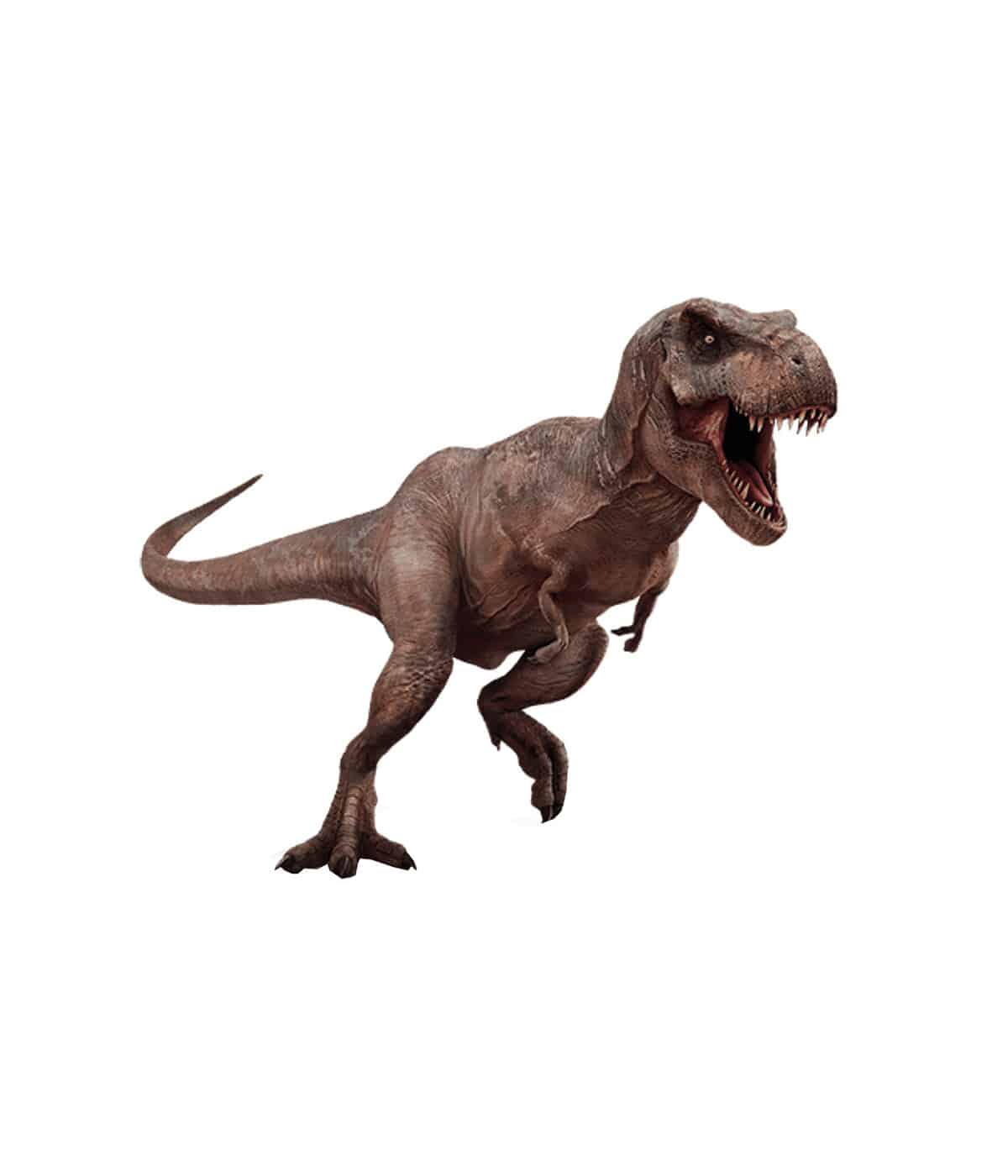 Tiranozaur - Lumea Dinozaurilor
