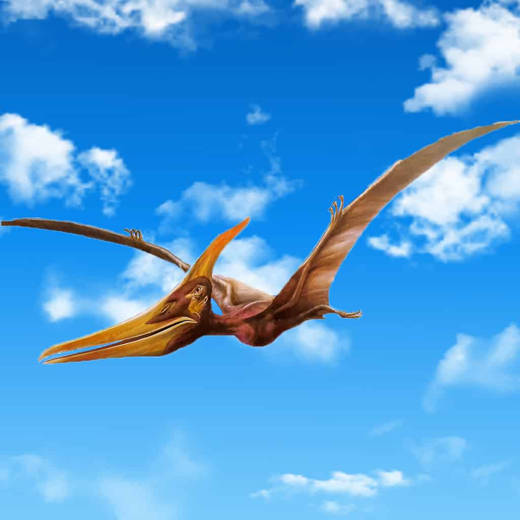de ce pterozaurii nu sunt dinozauri